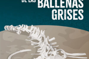 Julio García "El cementerio de las ballenas grises" (Liburuaren aurkezpena / Presentación del libro) @ elkar Iparragirre 
